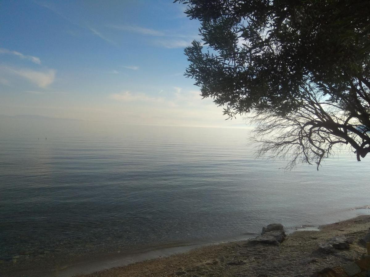 Villa Nadia Nea Skioni Exteriér fotografie